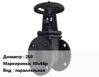Задвижка чугунная 250 30ч66р параллельная